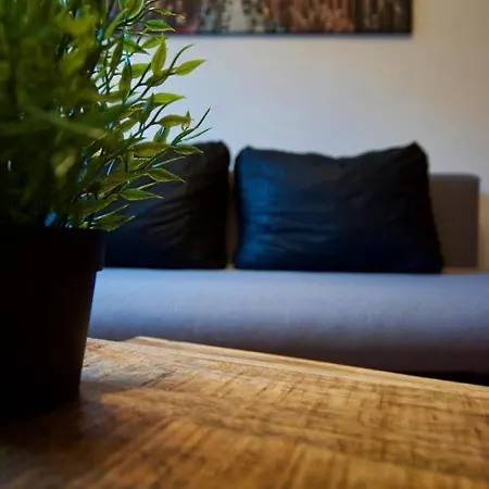 Scarlet Timber * 布达佩斯